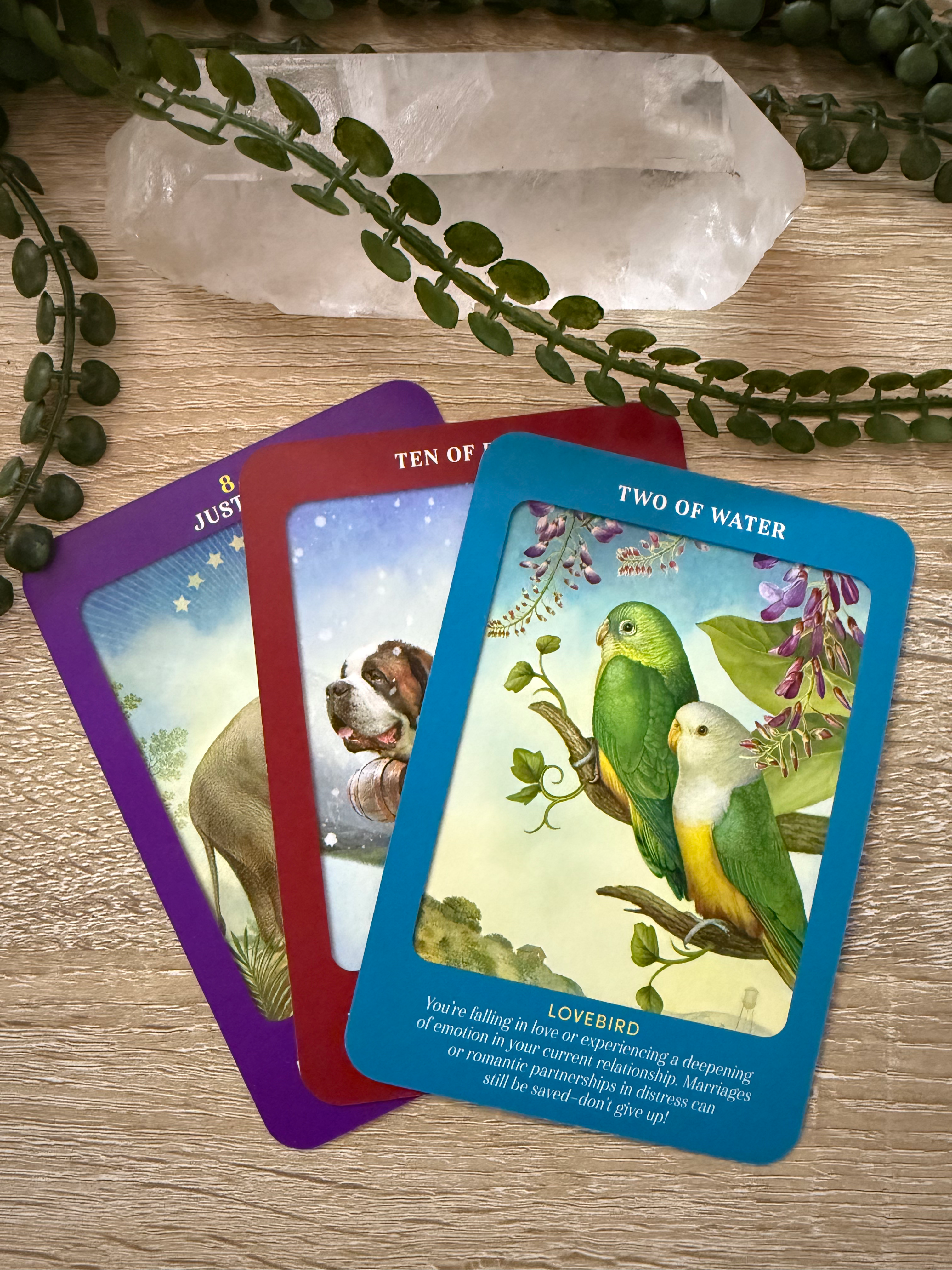 Animal Guides Tarot: A 78-Card Deck and Guidebook
