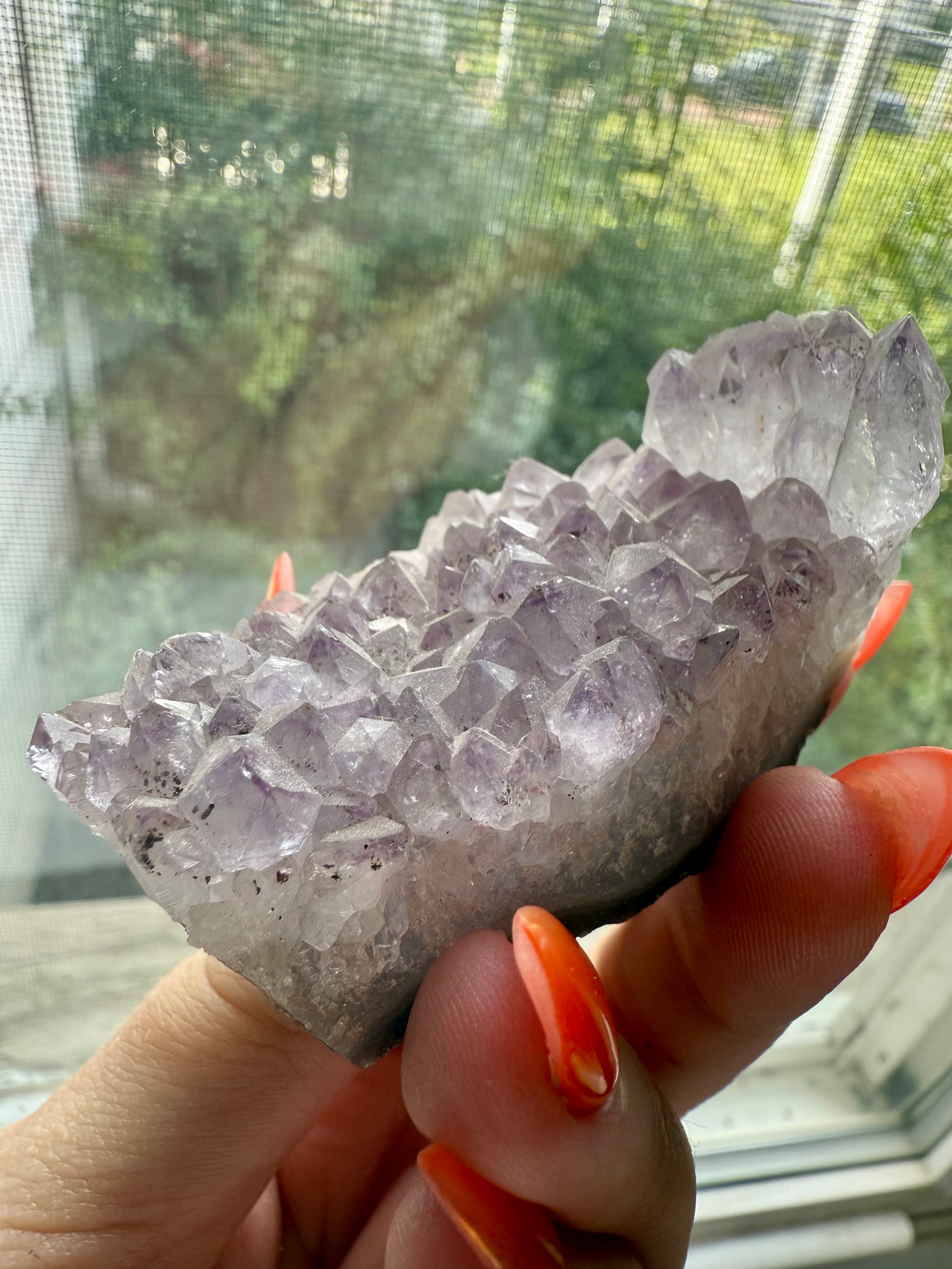 Small Amethyst Cluster