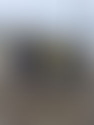 Cross départemental