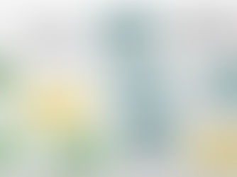 Retour de Période de Formation en Milieu Professionnel en visio