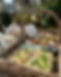 Helen POST Designs.jpeg