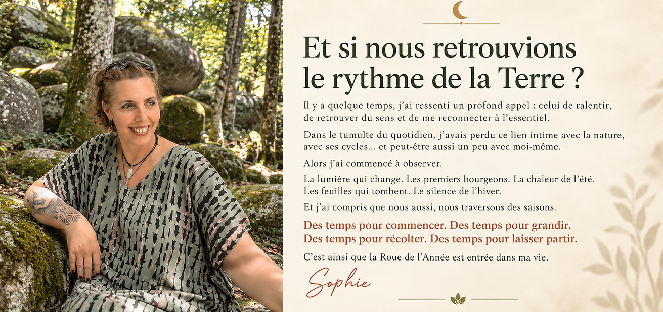 roue_année_sidobre
