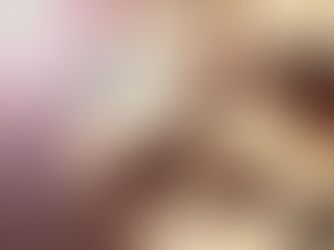 A happy white dog with a large nose faces the camera beside a sunny pool. Shadows, sunlight, and a lens flare create a playful vibe.