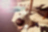 Dog Close Up