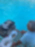 Fish by the pool