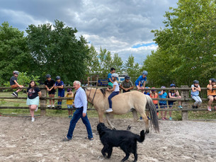 Reiten auf Leo und Willi