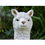 Thumbnail: Dutch Imports Llama (White)