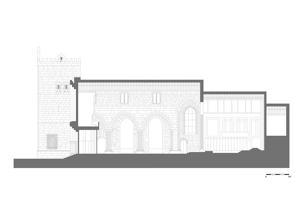 07_Corte Longitudinal _ Longitudinal Section