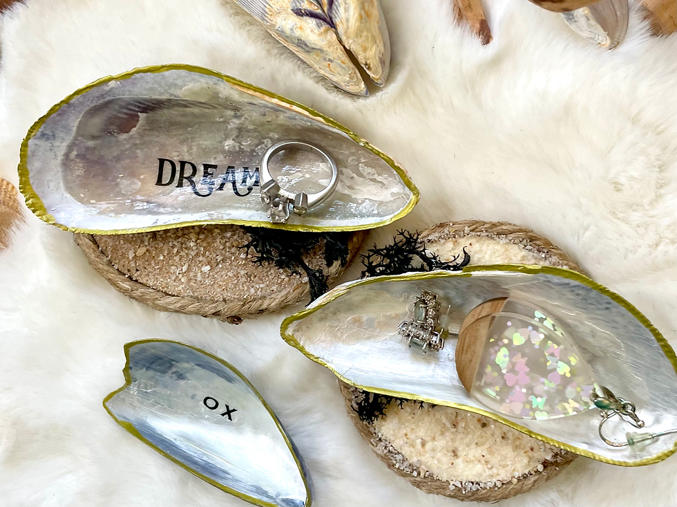 oyster and clam shell trinket dishes