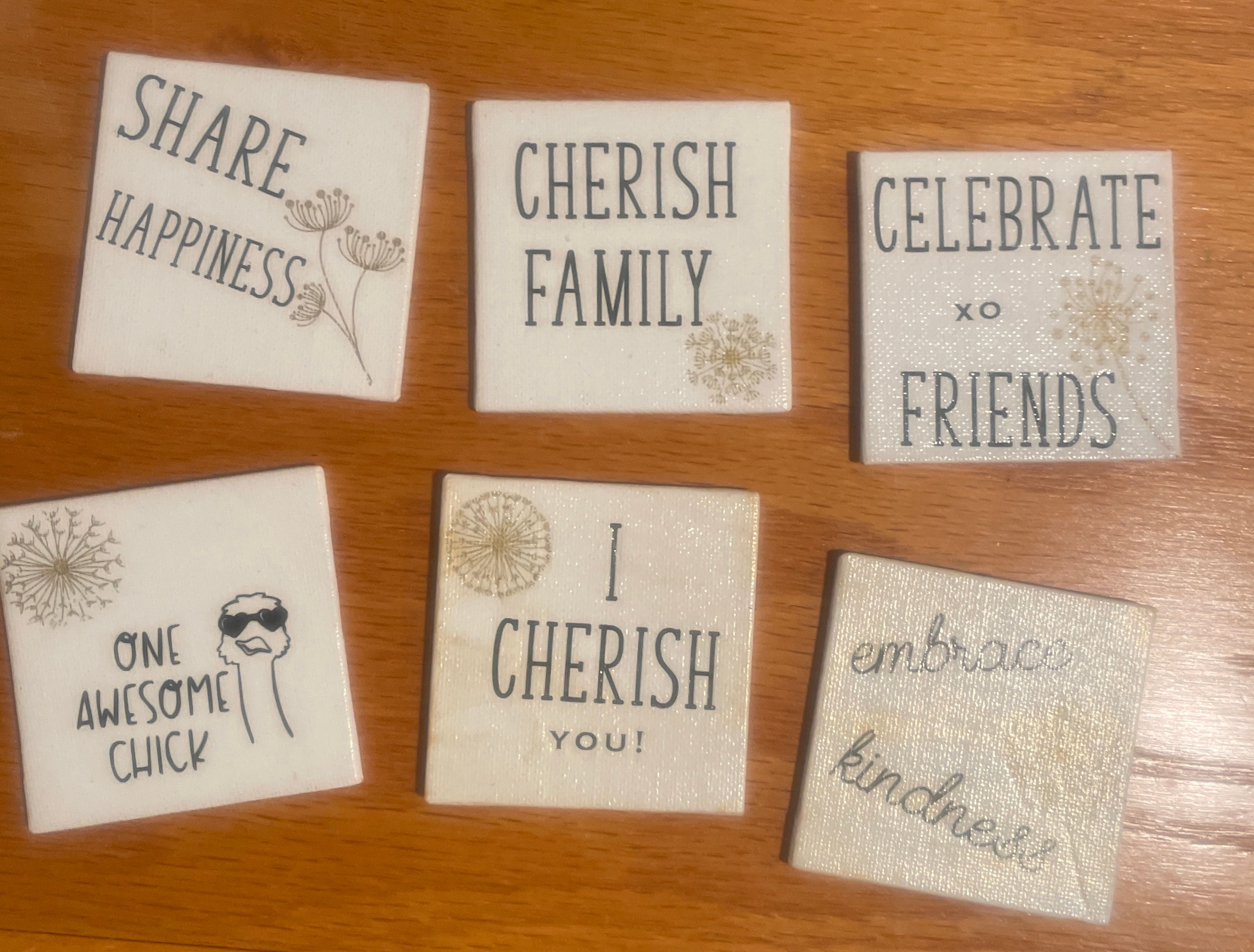 Canvas Magnets, Mini Desk Art, Inspirational Sayings with Real Ferns