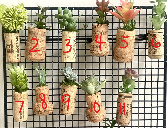 Thumbnail: Wine Cork Faux Succulent Magnet Set