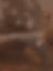 Post - 10.11.png