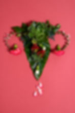 top-view-reproductive-system-with-flowers.jpg