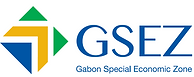 Logo-GSEZ-768x293.png