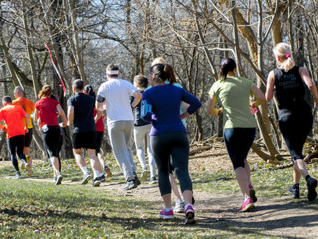 INsight #164 - FALLING BEHIND