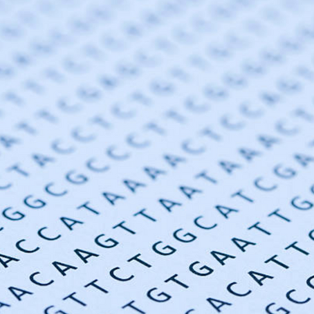 GENEWIZ presents: Novel Sequencing & Synthetic Solutions for AAV-based Gene Therapy Research