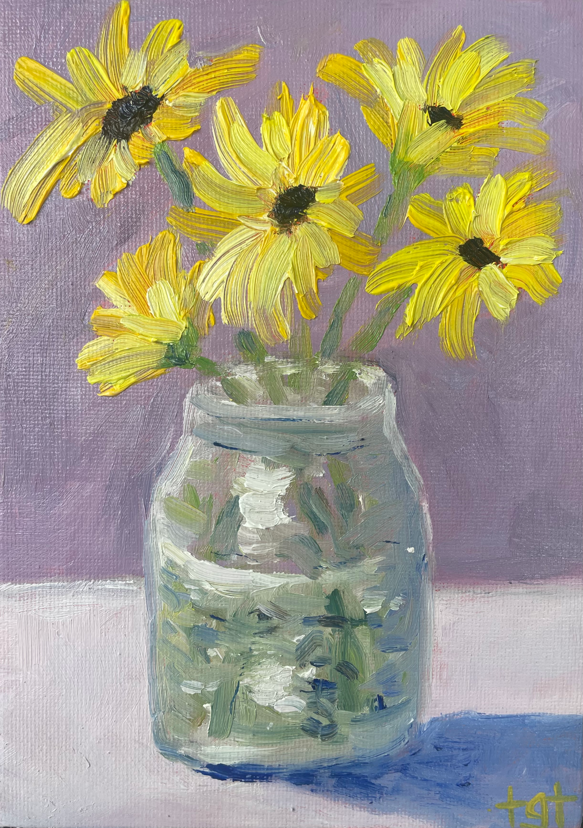 Daisy Days