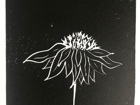 He Loves Me; He Loves Me Not