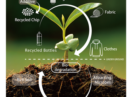 Bio-Degradable Recycled Polyester: Giải Pháp Xanh Cho Ngành Dệt May