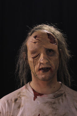 Cartoomics Zombie Demo