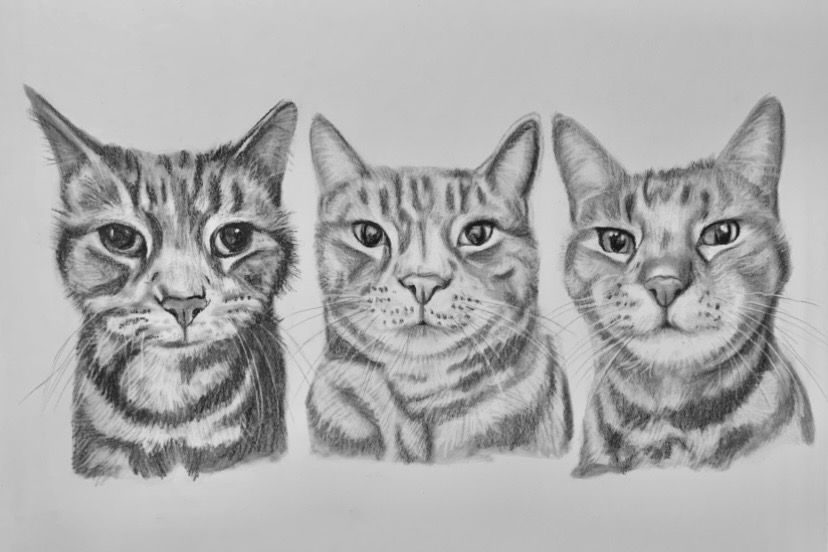 Thumbnail: Hand drawn charcoal portraits