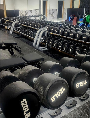 Image 2025-09-03 at 3.55 PM.jpeg