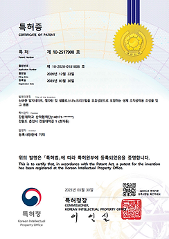 신규한 알지네이트 젤라틴 및 셀룰로오스나노크리스탈 조직공학 조성물.png