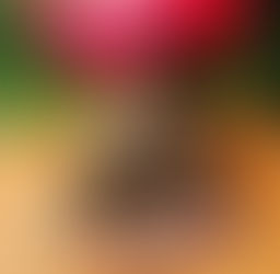 The forgotten purpose of sexuality.