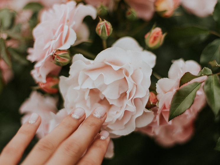 daiga-ellaby-3FR6E9hEYWw-unsplash_edited.jpg
