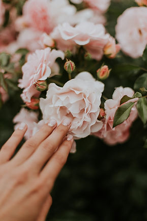 daiga-ellaby-3FR6E9hEYWw-unsplash.jpeg