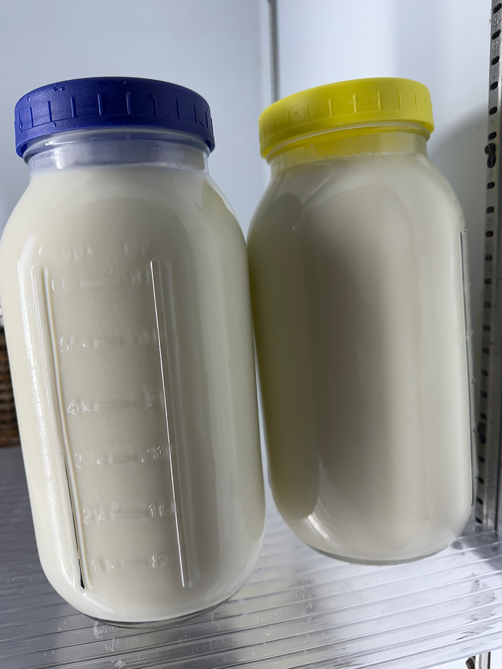 What Is Heat-Treated Milk?