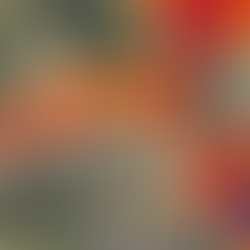 Geosapiens lance la première cartographie complète des inondations au Québec