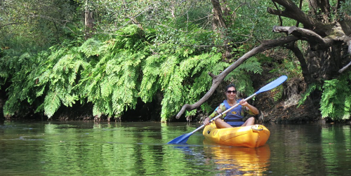 Canoë sur la Leyre, à Mios