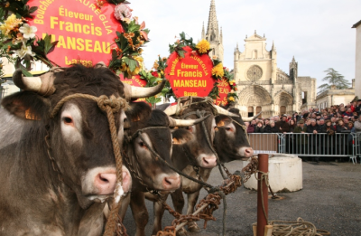 La fête des boeufs gras de Bazas