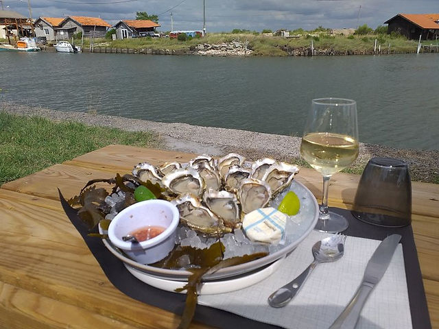Dégustation d'huitres au Port de Larros