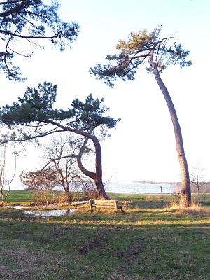 Balade à pied au lac de Sanguinet