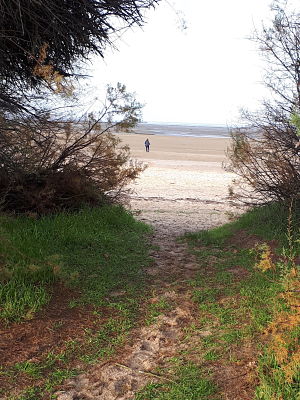 Le sentier du littoral à Gujan Mestras - Allée vers la plage de La Hume