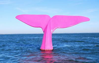 Balade en ville d'été à Arcachon - La queue de la baleine, jetée Thiers
