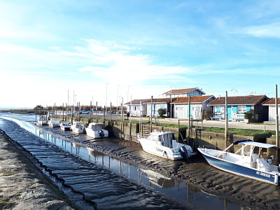 Les bateaux au port d'Audenge