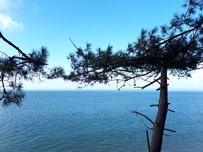 Balade à la Dune du Pyla - Vue de la promenade, au milieu des escaliers
