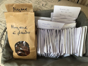 Faire ses graines potagères maison