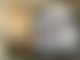 Faire ses graines potagères maison