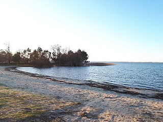 Balade à pied au lac de Sanguinet