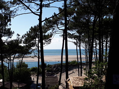 Le restaurant Le Panorama - Vue sur le Banc d'Arguin
