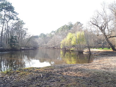 Balade en bord de Leyre, à Mios