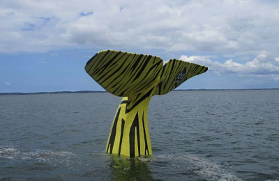 Balade en ville d'été à Arcachon - La queue de la baleine, jetée Thiers