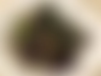 Betterave, poireaux, zaatar et crème de feta