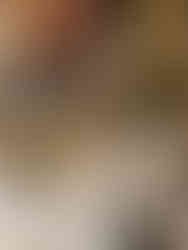 Restaurant à Arcachon : le Royal Moulleau