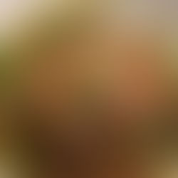 Palet de panais en bouillon de légume