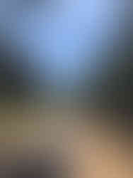 Balade à vélo sur la piste cyclable le long des plages océanes, du Petit Nice à Biscarosse plage